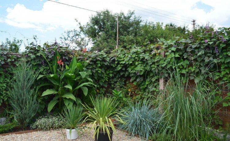 Гостиница Гостевой дом Инжир Севастополь-22