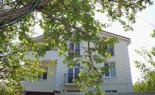 Гостиница Гостевой дом Инжир Севастополь-0